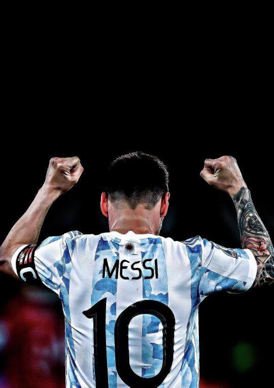 十二星座动物代表有多凶？揭秘白羊座公羊的凶猛与平和